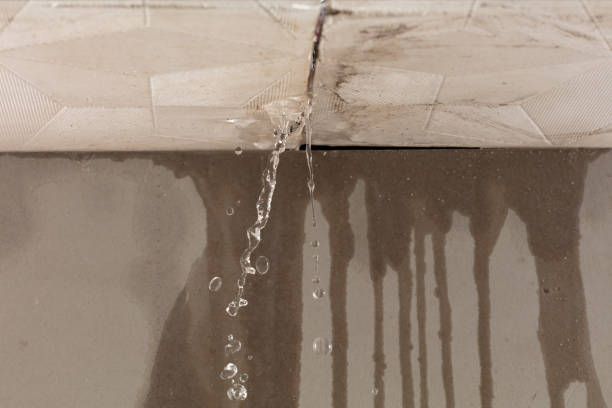 Professional Flood Damage Cleanup technician working in Savannah, OH